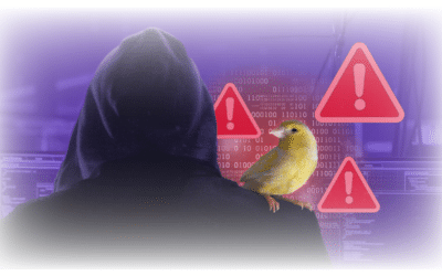 Canaries are the Keys to Success in the Cloud